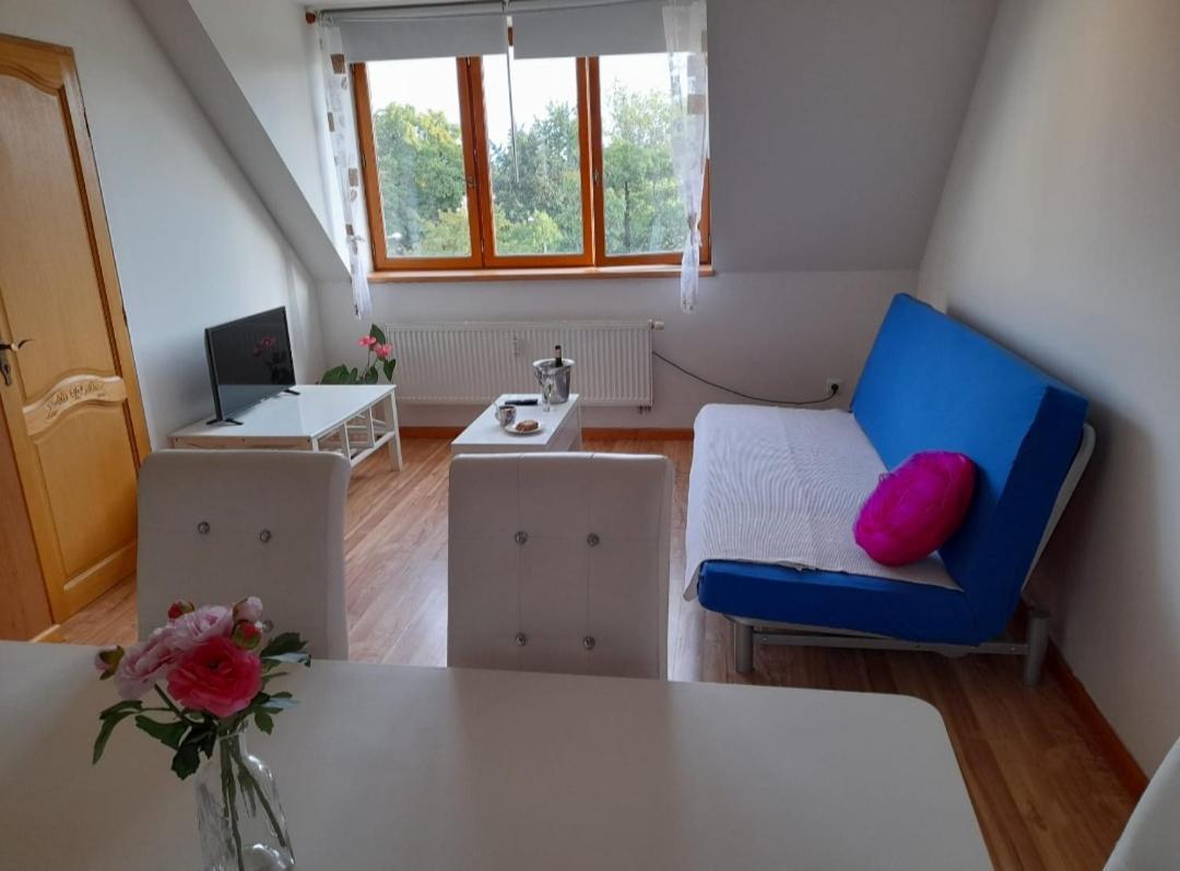 Riegrova Apartment Ceske Budejovice Exterior photo